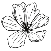 flower favicon.webp